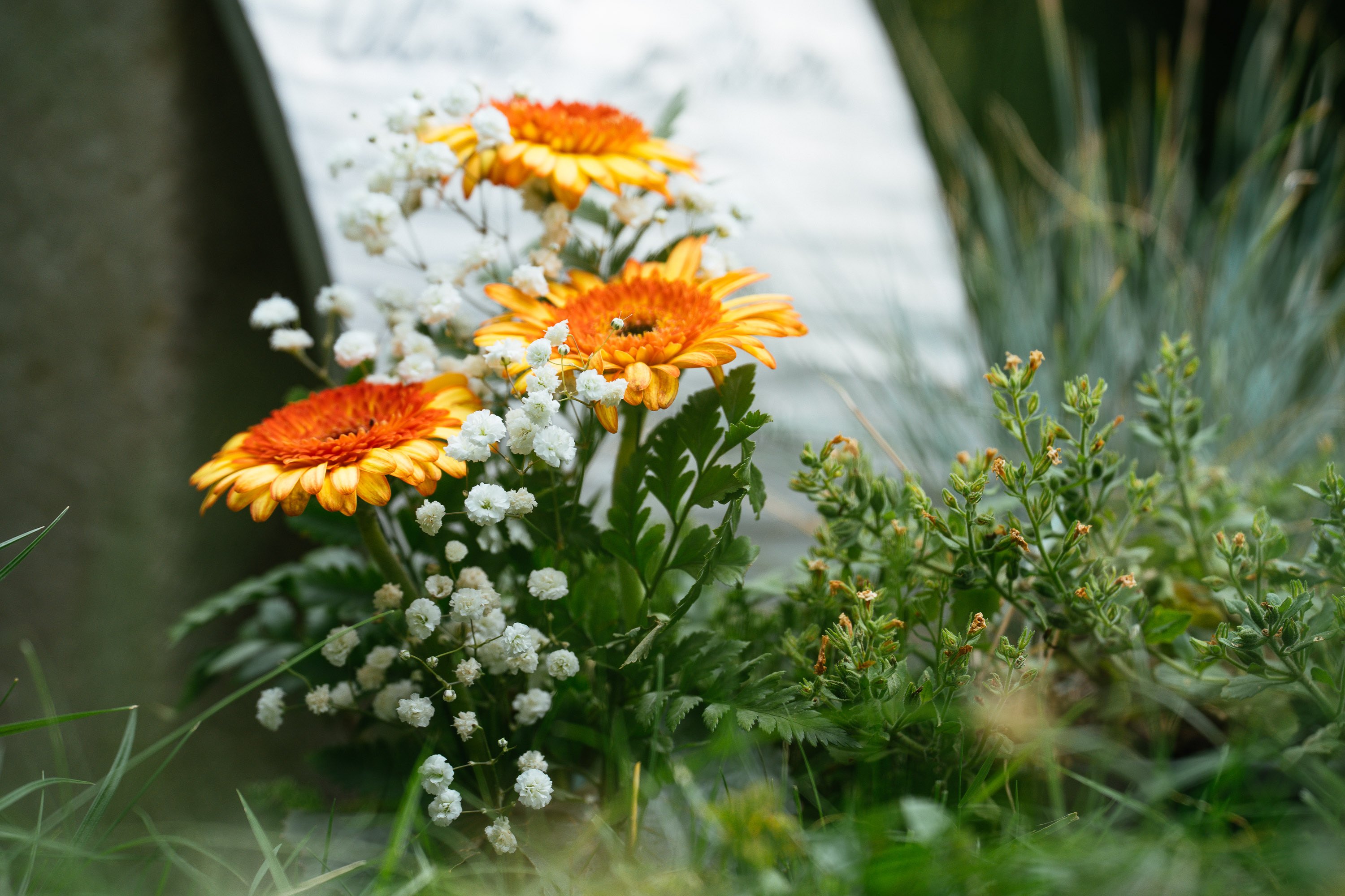 Bestattungsinstitut Liebscher: Blumen
